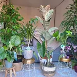 Chambre Appartement Terrasse